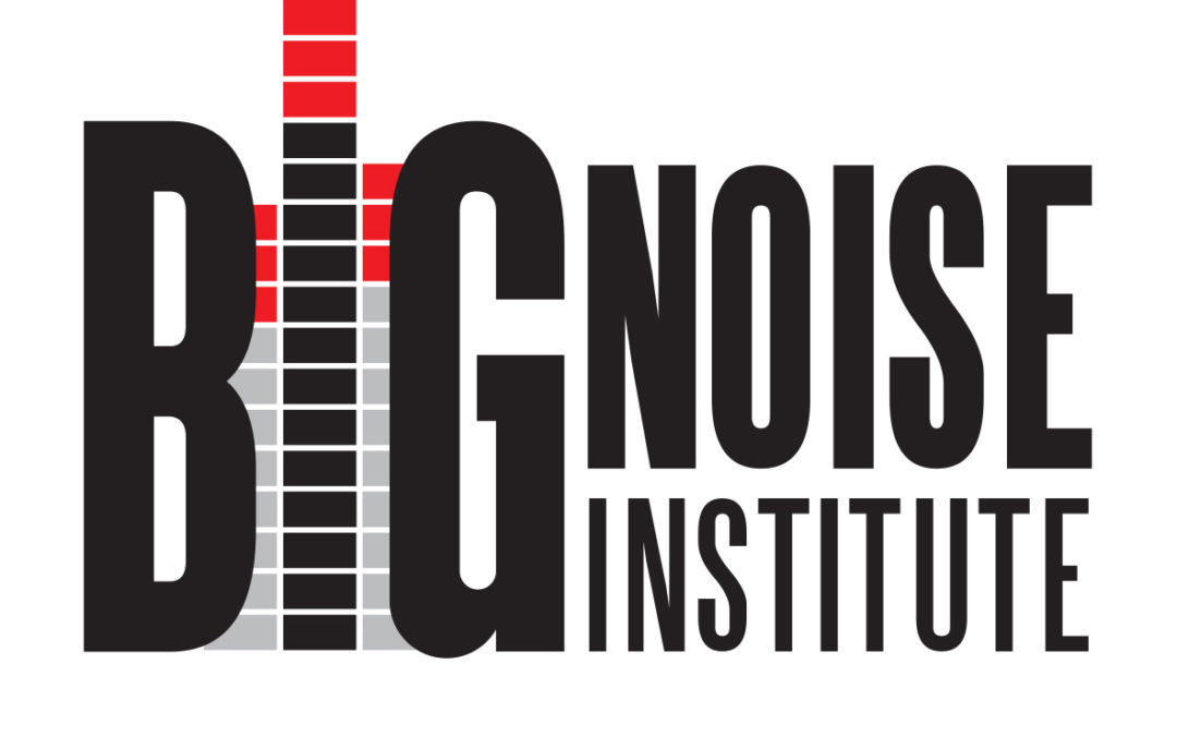 Big Noise Institute